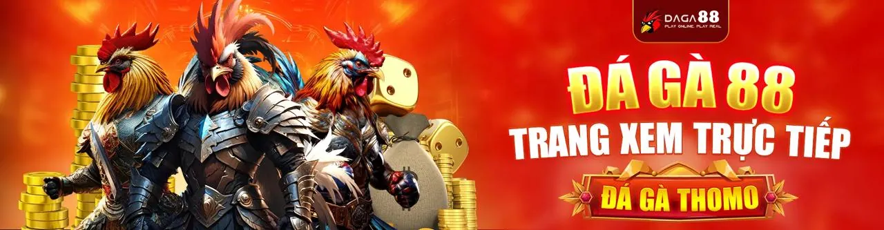 Người dùng quản lý cài đặt cookie trong trình duyệt web